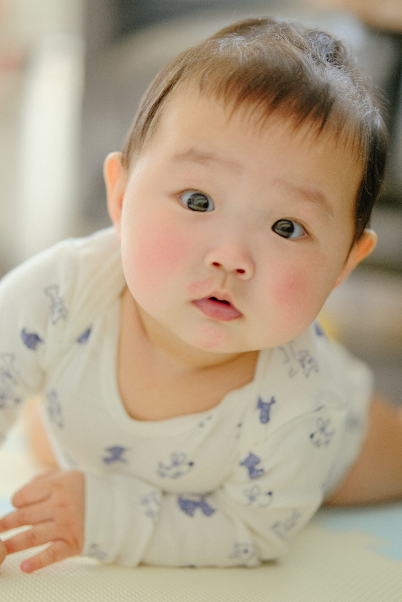 Baby crawling portrait